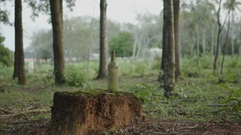 Close up bottle breaking by a stone at sunset in the countryside Stock Footage 282936510