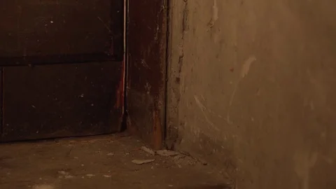 Close up of bottom of door shaking Stock-Footage 71389079