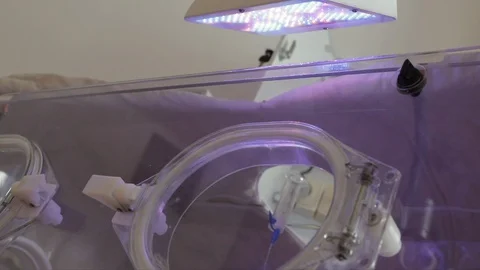 Close up bottom view of the incubator window and the lamp above it. 動画素材 128447645