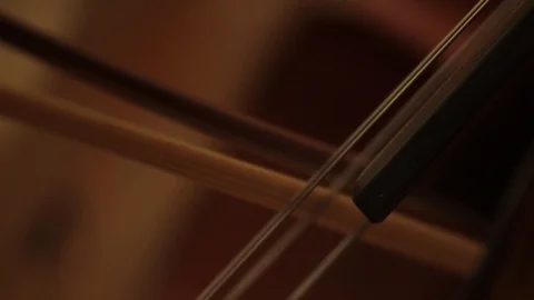Close up bow chello bass Stock-Footage 86528319
