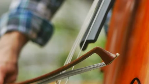 CLOSE UP BOW 스톡 동영상 183468346