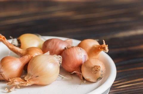 Close-up of a bow lying in a light-colored stand on a wooden background Foto stock