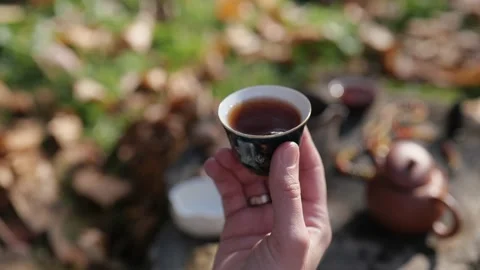 Close-up. a bowl of pu-erh tea in a man's hand. chinese tea ceremony concept Stock Footage 229859427