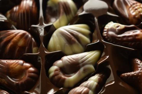 Close up on box of chocolates in the shape of seafood. Stock Photos