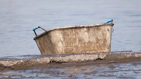 Close up of of a box full of fish during professional collection of fish from nu Stock Footage 307300167