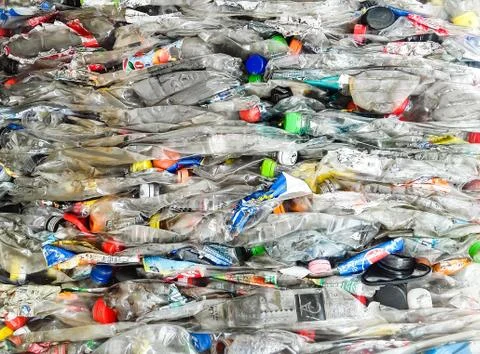 Close-up  of   box of pressed plastic bottles ready for recycling . Stock Photos