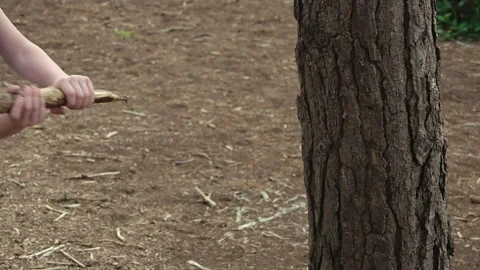 Close up of a boy hitting a tree with a stick in slow motion Stock Footage 132737500