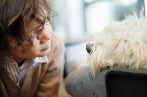 Close-up of a boy looking at a dog Stock Photos