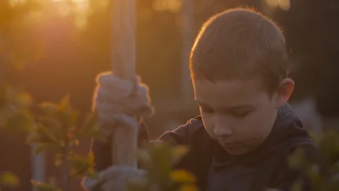 Close-up of a boy tending a tree in the garden Vídeos de archivo 128441495