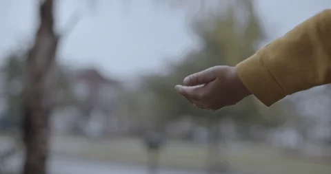 Close up of boy wetting his hands under the rain. Stock Footage 128789925