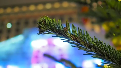 Close up of branch and 23-52 on Christmas clock and fir tree in Moscow 스톡 동영상 71157438