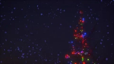 Close-up branches of Christmas tree with colorful garland lights surrounded by 動画素材 101461917