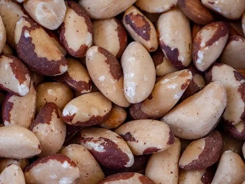 Close up of  Brazil nuts background Stock Photos