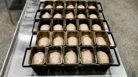 Close-up of bread dough in rectangular iron pans. The dough in the molds is.. Foto stock