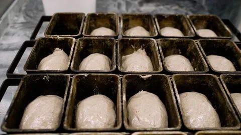Close-up of bread dough in rectangular iron pans. The dough in the molds is.. Foto stock