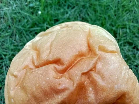 Close up bread grass background. Фото