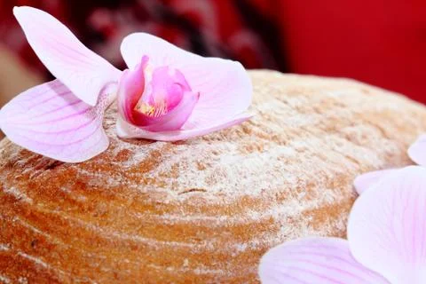 Close up of bread Stock Photos