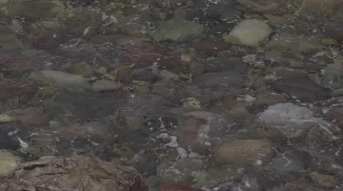 Close up of breaking wave Stock Footage 52563514