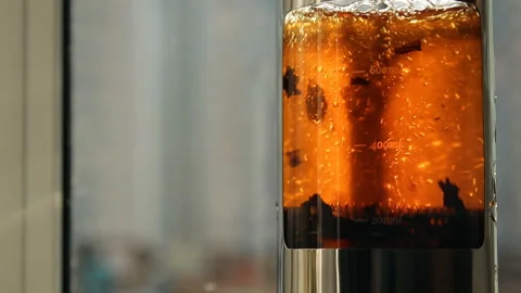 Close-up of brewing black tea in a tea pot. Morning tea ceremony. Video stock 88986861