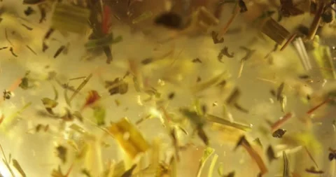 Close-up of brewing of green tea. Macro shot of tea leaves floating in boiling Stock-Footage 172107981