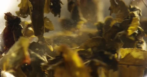 Close-up of brewing of green tea. Macro shot of tea leaves floating in boiling Stock-Footage 172208702