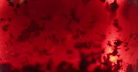 Close-up of brewing of red tea. Macro shot of tea leaves floating in boiling Stock-Footage 172107571
