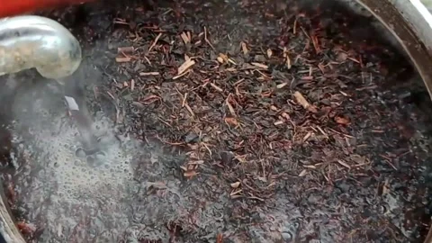 Close-up brewing tea with hot water Stock Footage 276346347