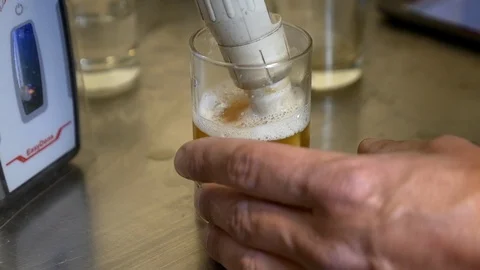 Close-up of a brewmaster measuring and testing beer samples at a microbrewery. Stock Footage 99597385
