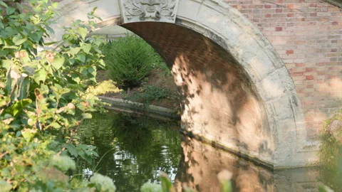Close Up of Brick Arch Bridge Over Reflective Water in a Sunlit Park Stock Footage 340477374