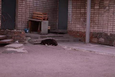 A close up of a brick building Stock Photos