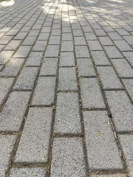 Close-up of a brick path shaded by trees 01 Stock Photos