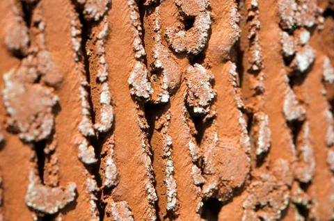Close up of brick Stock Photos