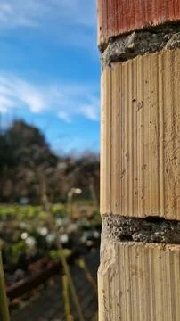 Close-up of a brick wall with garden backdrop Stock Photos