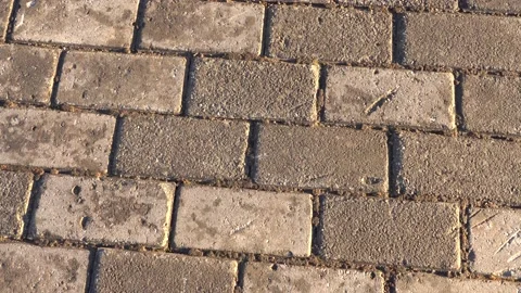 Close-up Brick wall or floor texture. Stock Footage 167552194