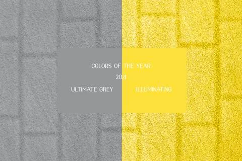 Close up of brick wall. Stock Photos