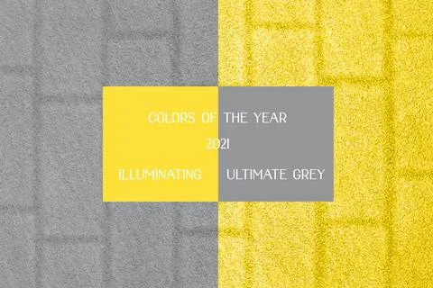 Close up of brick wall. Stock Photos