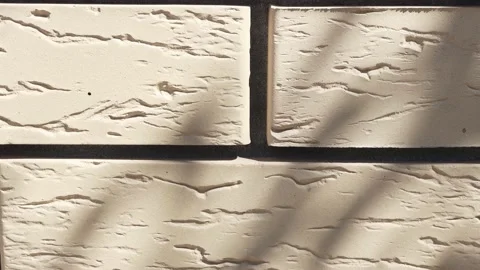 Close-up of a brick wall with shadow from moving trees, abstract background. Stock Footage 196309921