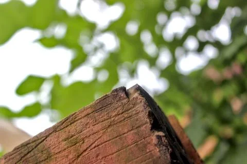 Close-up of bricks and blurred trees Stock Photos