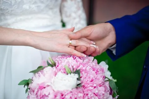 Close-up Bride and groom's hands with wedding rings Stock Photos