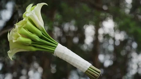 Close-up of Bride throwing up wedding bouquet of kala flower. Blur forest backgr Stock Footage 214029994