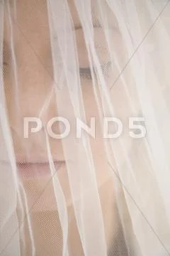 Close-up of a bride under a veil Stock Photos