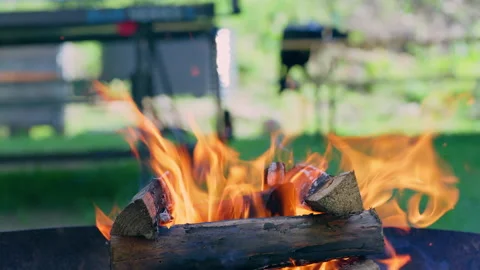 Close-Up of Bright Burning Flames and Firewood in Outdoor Fire Pit 動画素材 338363435