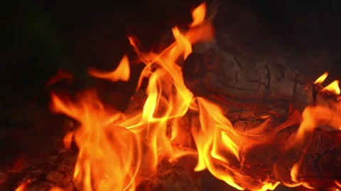 Close-up of bright campfire flames burning intensely on a dark background Video stock 341682539