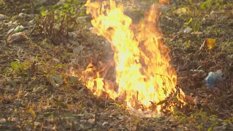 Close up of a bright fire burning in the field. Video stock 333916329