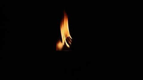 Close up of a bright fire flame burning on a wooden torch or bonfire. Видео 331276758