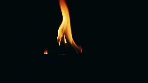 Close up of a bright fire flame burning on a wooden torch. Видео 334020594