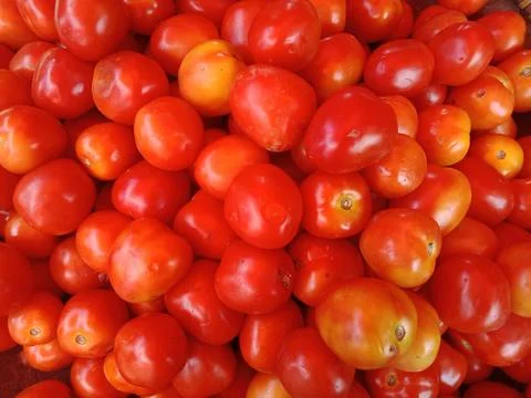 Close up of bright fresh tomatoes. Stock Photos