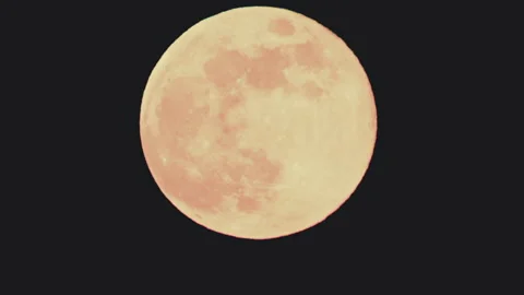 Close up of a bright full moon against a black night sky. Detailed surface Stock Footage 329388453