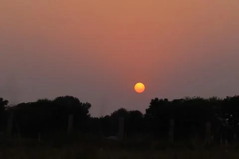 Close-up of The bright full sun sets in the countryside during the summer Stock Photos