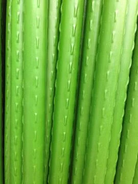Close-up of bright green cylindrical objects Foto stock